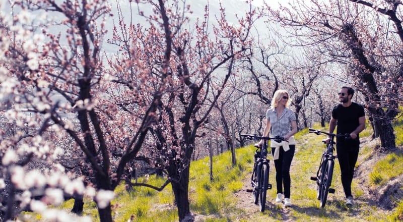 E-Bike: Giorni di fioritura