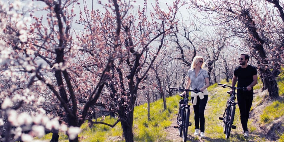 E-Bike: Giorni di fioritura